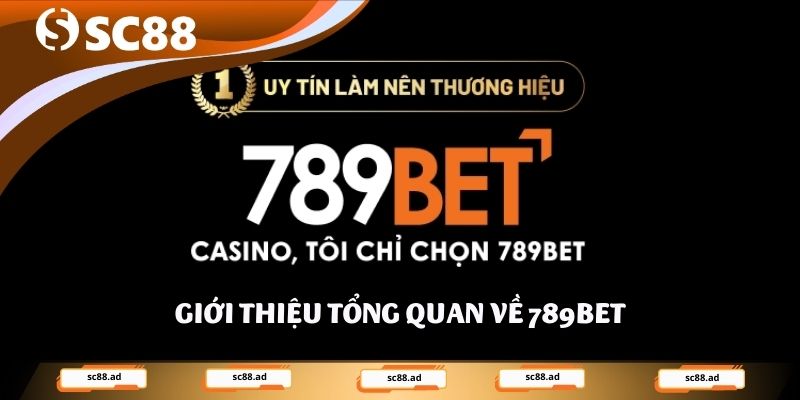 Giới thiệu tổng quan về 789bet